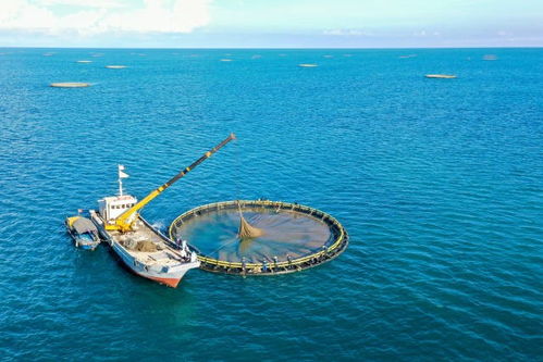 三十年匠心铸就卓越 粤海饲料领航中国水产饲料技术发展