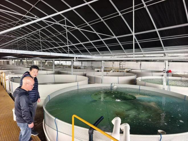 七彩神仙鱼“游”出乡村振兴的“一池春水”——畜牧渔业饲料产业的协同发展之路