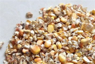 散装饲料 现代畜牧业提质增效的关键引擎