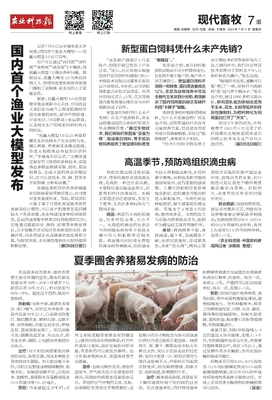 饲料技术革新助力畜牧渔业高质量发展